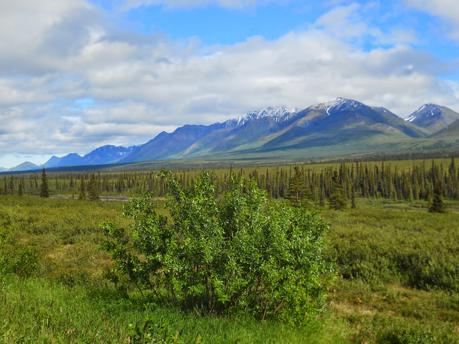 BOBBA CAPS DOXOLOGY JUL 27, 14 .. NENANA ALASKA